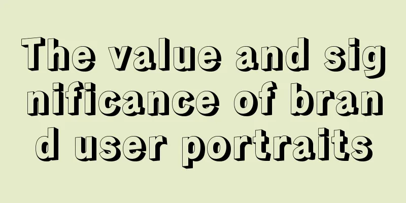 The value and significance of brand user portraits
