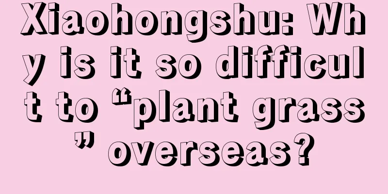 Xiaohongshu: Why is it so difficult to “plant grass” overseas?
