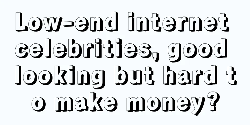 Low-end internet celebrities, good looking but hard to make money?