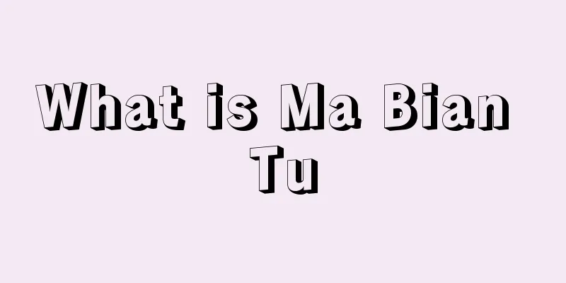 What is Ma Bian Tu