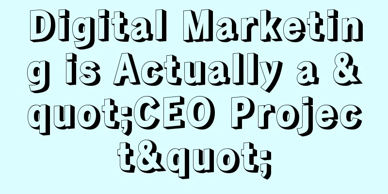 Digital Marketing is Actually a "CEO Project"
