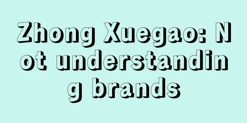 Zhong Xuegao: Not understanding brands