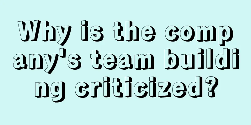 Why is the company's team building criticized?