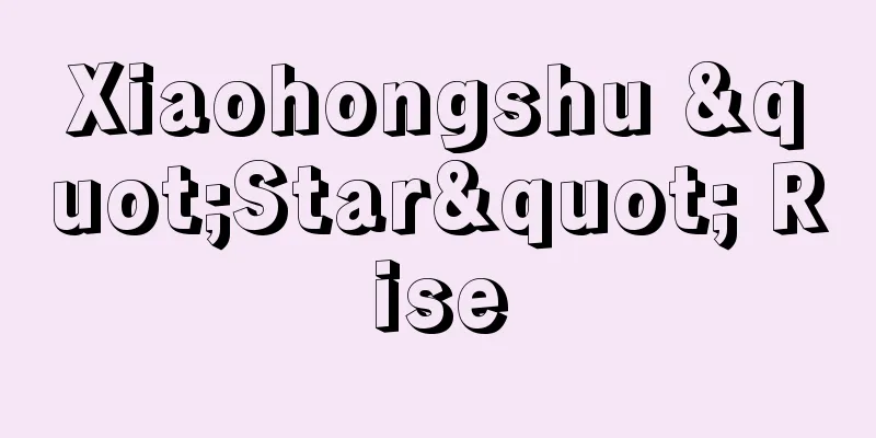 Xiaohongshu "Star" Rise