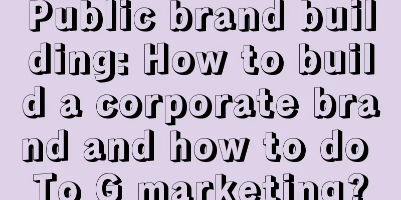 Public brand building: How to build a corporate brand and how to do To G marketing?