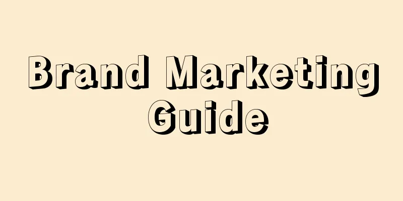 Brand Marketing Guide