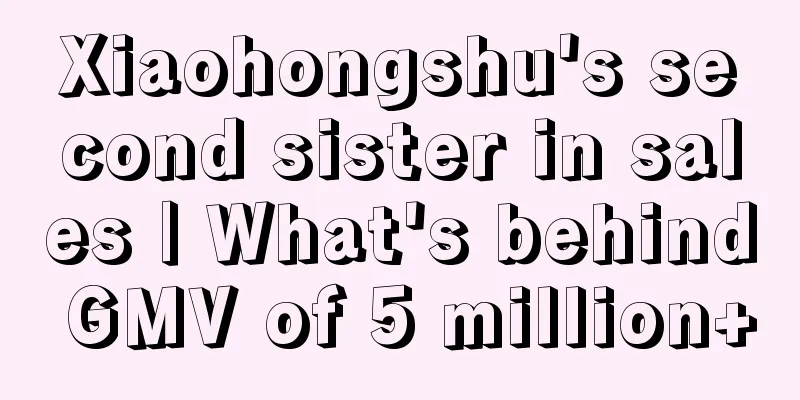 Xiaohongshu's second sister in sales | What's behind GMV of 5 million+