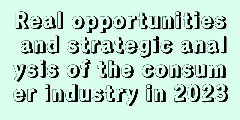Real opportunities and strategic analysis of the consumer industry in 2023