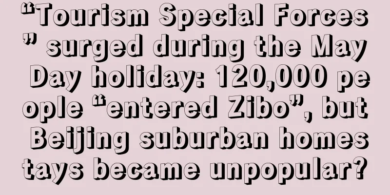 “Tourism Special Forces” surged during the May Day holiday: 120,000 people “entered Zibo”, but Beijing suburban homestays became unpopular?