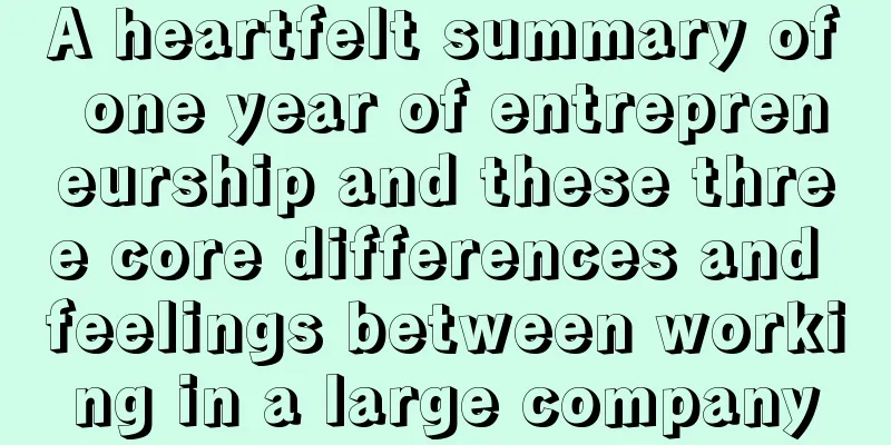 A heartfelt summary of one year of entrepreneurship and these three core differences and feelings between working in a large company