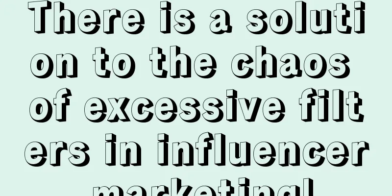 There is a solution to the chaos of excessive filters in influencer marketing!