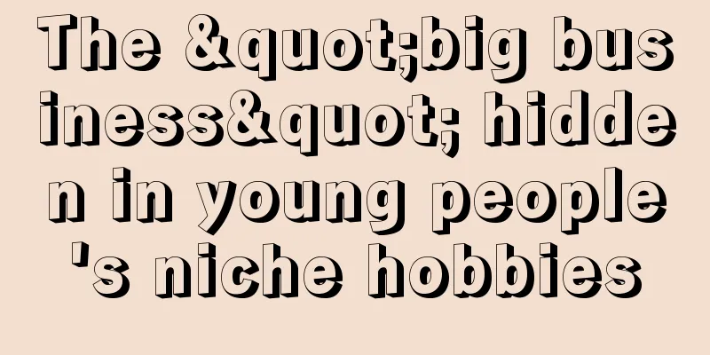 The "big business" hidden in young people's niche hobbies