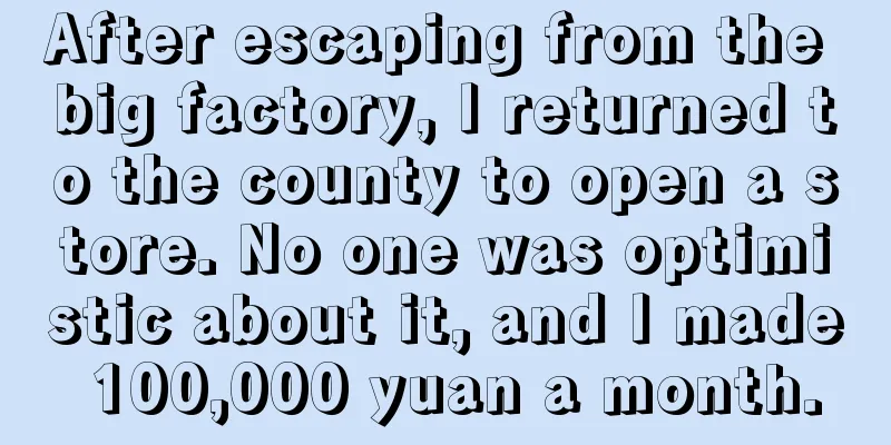 After escaping from the big factory, I returned to the county to open a store. No one was optimistic about it, and I made 100,000 yuan a month.