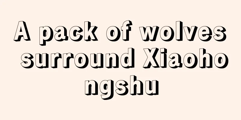 A pack of wolves surround Xiaohongshu