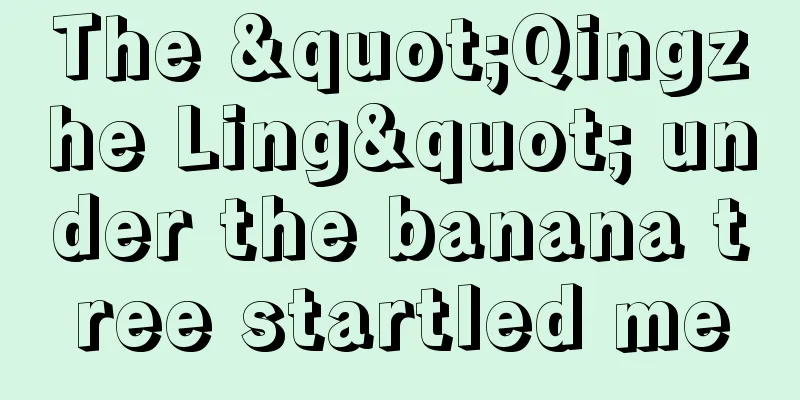 The "Qingzhe Ling" under the banana tree startled me