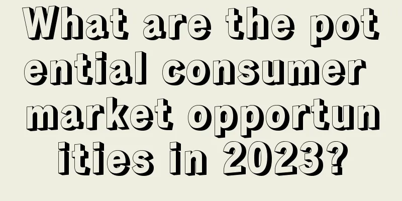What are the potential consumer market opportunities in 2023?
