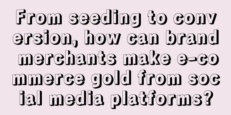 From seeding to conversion, how can brand merchants make e-commerce gold from social media platforms?