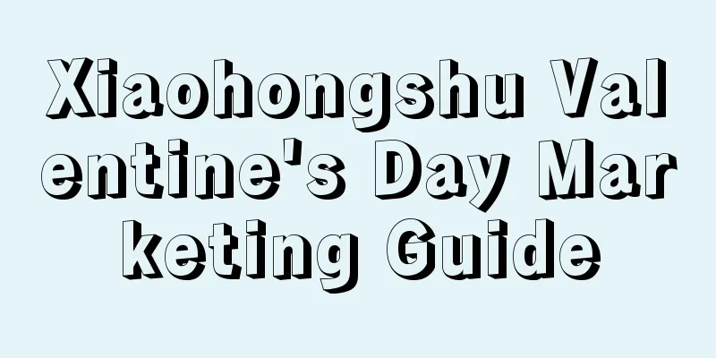 Xiaohongshu Valentine's Day Marketing Guide