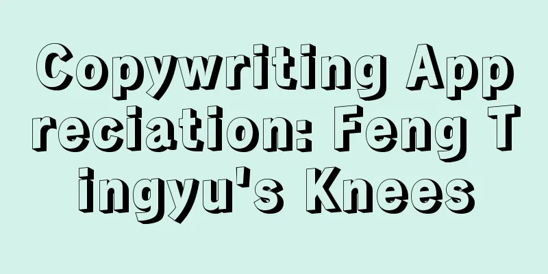 Copywriting Appreciation: Feng Tingyu's Knees