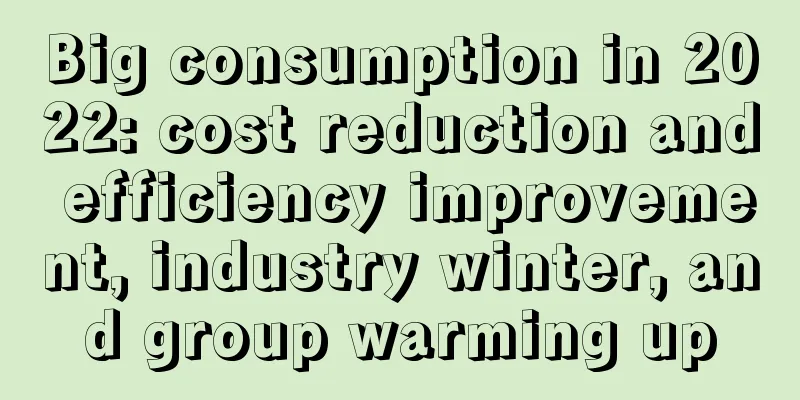 Big consumption in 2022: cost reduction and efficiency improvement, industry winter, and group warming up