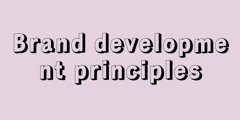 Brand development principles