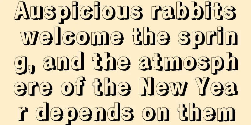 Auspicious rabbits welcome the spring, and the atmosphere of the New Year depends on them