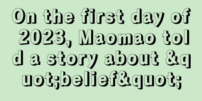 On the first day of 2023, Maomao told a story about "belief"