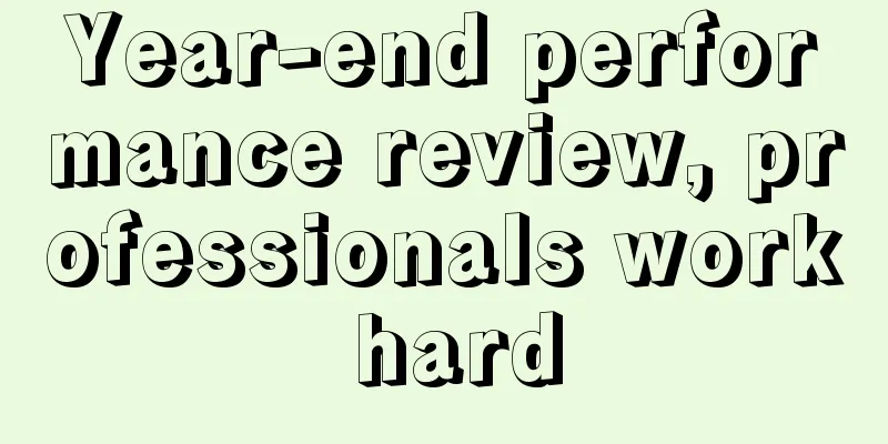 Year-end performance review, professionals work hard