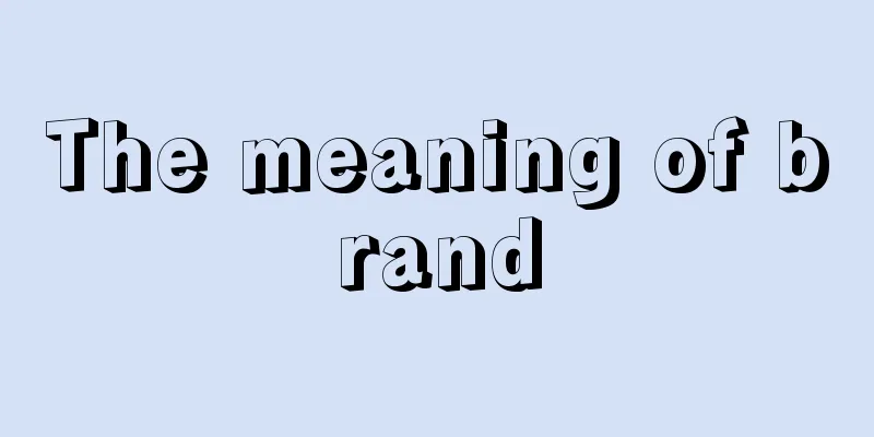 The meaning of brand